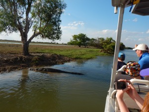 Crocodiles everywhere!! Yellow Water Billabong