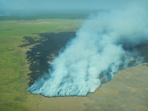 A wildfire in Kakadu National Park