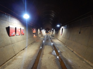 Darwin tunnell DSCN3053